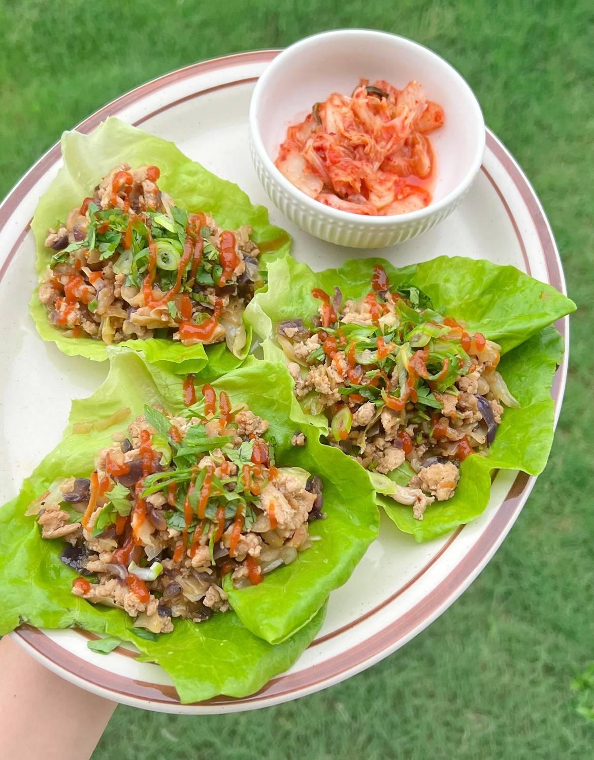 Egg Roll Lettuce Wraps